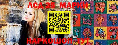 гашик Нарткала
