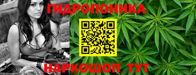 гашик Нарткала