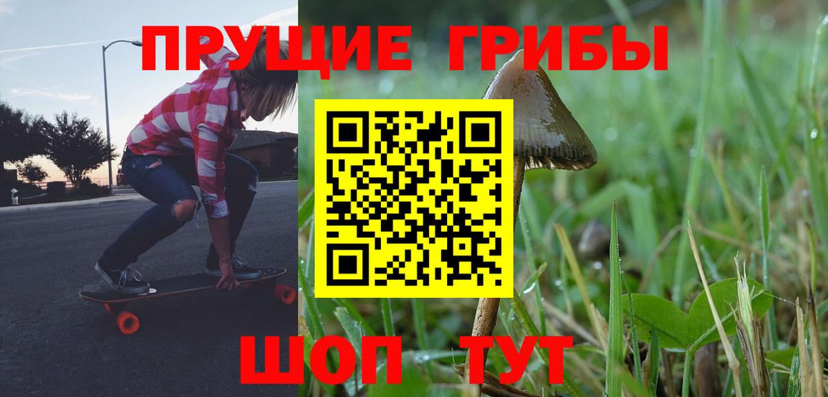 Галлюциногенные грибы MAGIC MUSHROOMS  хочу   Тавда  Вход с VPN 