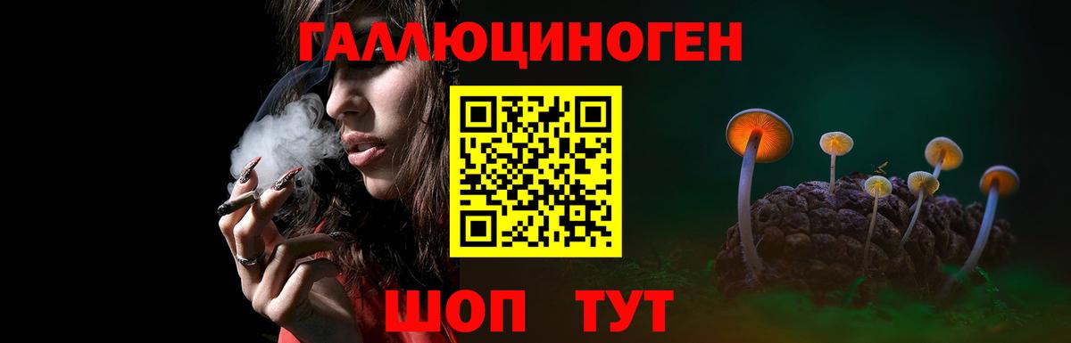 Псилоцибиновые грибы Magic Shrooms Тавда